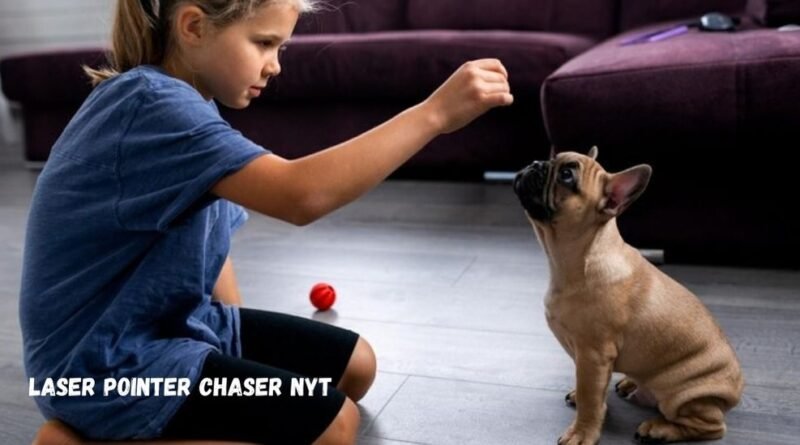 Laser Pointer Chaser NYT: Why Cats Love It